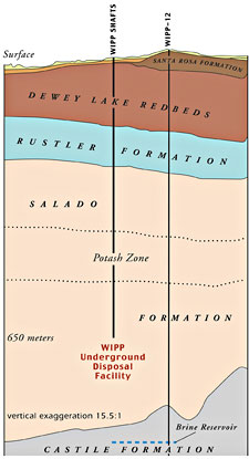 Geologic Section Through the WIPP Site